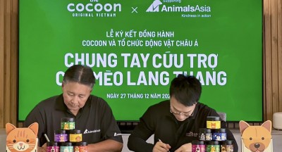 Cocoon x AAF: Chung tay cứu trợ chó mèo lang thang cùng Tổ chức Động vật Châu Á